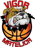 Logo Vigor Matelica